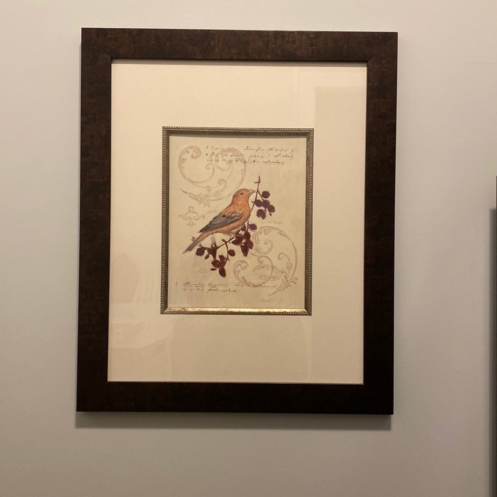 Vintage Bird Photo Art